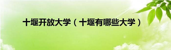 十堰开放大学（十堰有哪些大学）