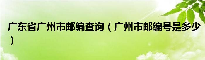 广东省广州市邮编查询（广州市邮编号是多少）