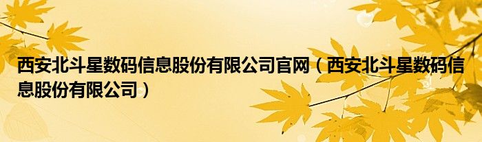 西安北斗星数码信息股份有限公司官网（西安北斗星数码信息股份有限公司）