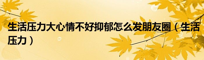生活压力大心情不好抑郁怎么发朋友圈（生活压力）