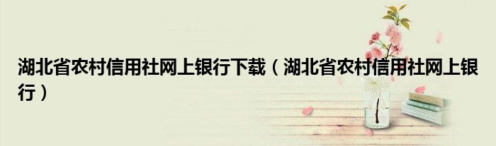 湖北省农村信用社网上银行下载（湖北省农村信用社网上银行）