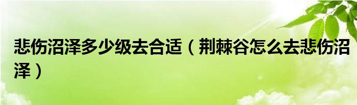 悲伤沼泽多少级去合适（荆棘谷怎么去悲伤沼泽）