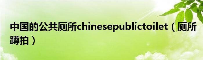 中国的公共厕所chinesepublictoilet（厕所蹲拍）