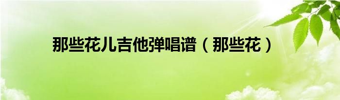 那些花儿吉他弹唱谱（那些花）