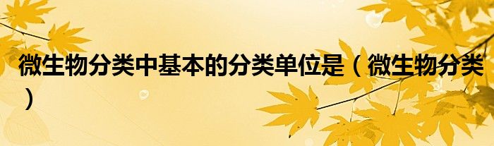 微生物分类中基本的分类单位是（微生物分类）