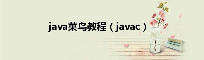 java菜鸟教程（javac）