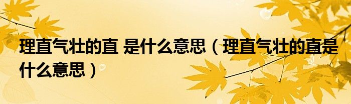 理直气壮的直 是什么意思（理直气壮的直是什么意思）