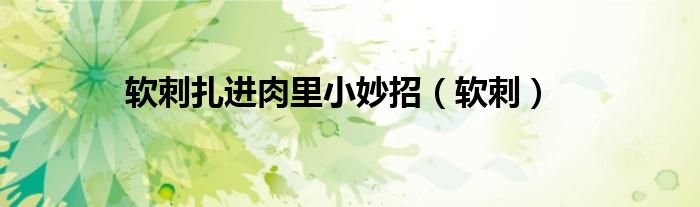 软刺扎进肉里小妙招（软刺）