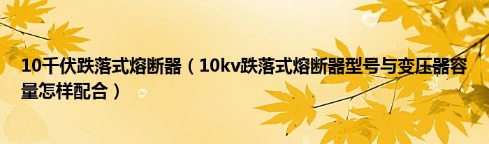 10千伏跌落式熔断器（10kv跌落式熔断器型号与变压器容量怎样配合）