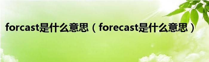 forcast是什么意思（forecast是什么意思）