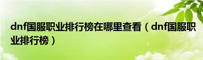 dnf国服职业排行榜在哪里查看（dnf国服职业排行榜）