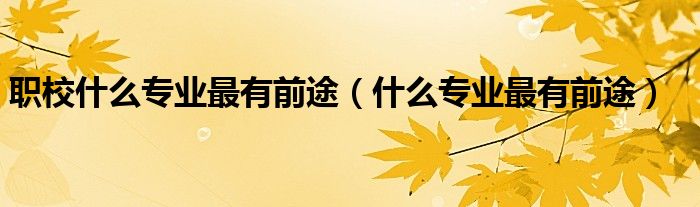 职校什么专业最有前途（什么专业最有前途）
