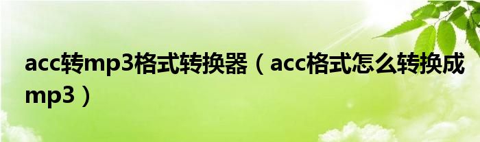 acc转mp3格式转换器（acc格式怎么转换成mp3）