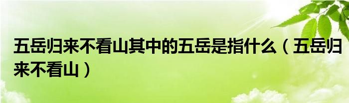 五岳归来不看山其中的五岳是指什么（五岳归来不看山）