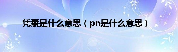 凭囊是什么意思（pn是什么意思）