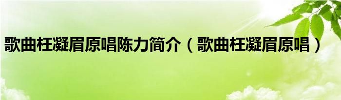 歌曲枉凝眉原唱陈力简介（歌曲枉凝眉原唱）