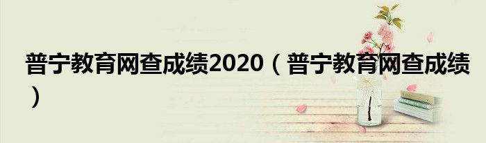 普宁教育网查成绩2020（普宁教育网查成绩）