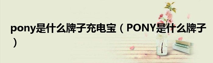 pony是什么牌子充电宝（PONY是什么牌子）