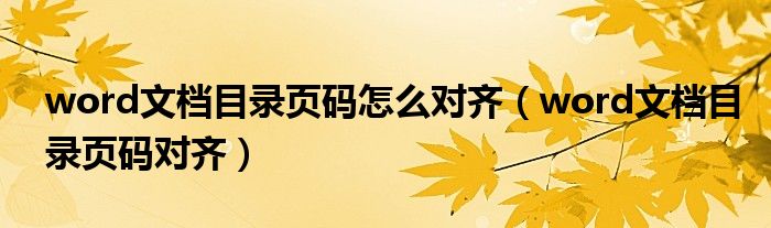 word文档目录页码怎么对齐（word文档目录页码对齐）