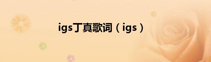 igs丁真歌词（igs）