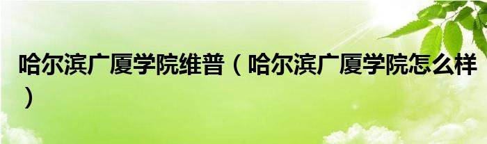 哈尔滨广厦学院维普（哈尔滨广厦学院怎么样）
