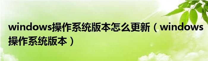 windows操作系统版本怎么更新（windows操作系统版本）