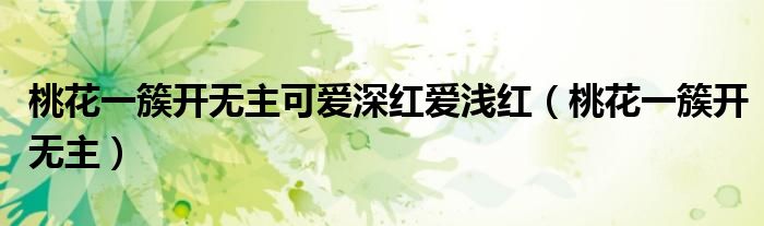桃花一簇开无主可爱深红爱浅红（桃花一簇开无主）