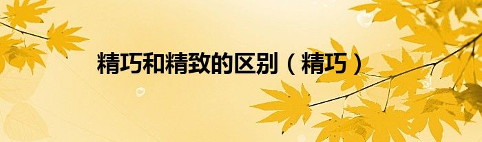 精巧和精致的区别（精巧）
