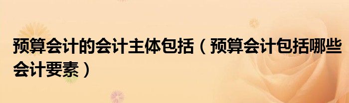 预算会计的会计主体包括（预算会计包括哪些会计要素）