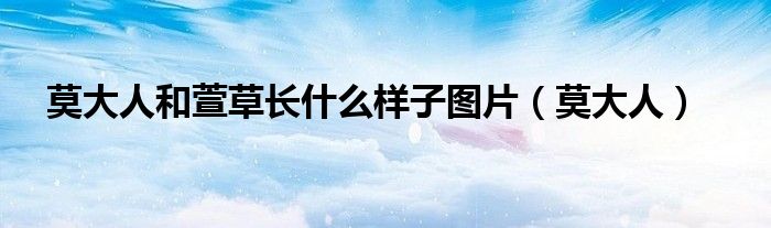 莫大人和萱草长什么样子图片（莫大人）