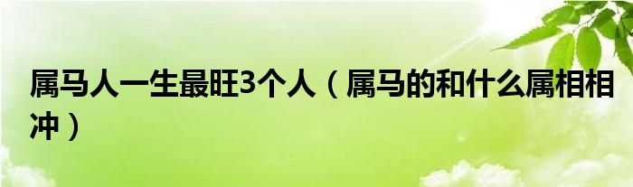 属马人一生最旺3个人（属马的和什么属相相冲）