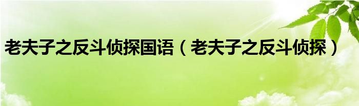 老夫子之反斗侦探国语（老夫子之反斗侦探）