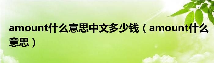 amount什么意思中文多少钱（amount什么意思）
