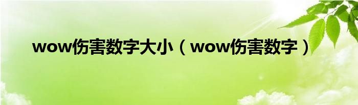 wow伤害数字大小（wow伤害数字）