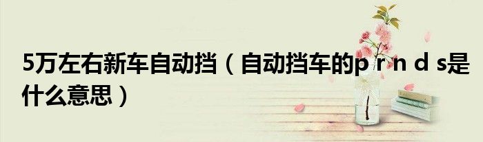 5万左右新车自动挡（自动挡车的p r n d s是什么意思）