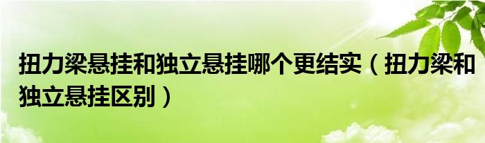 扭力梁悬挂和独立悬挂哪个更结实（扭力梁和独立悬挂区别）