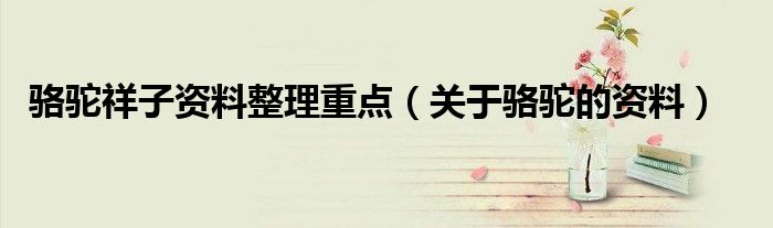 骆驼祥子资料整理重点（关于骆驼的资料）