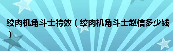 绞肉机角斗士特效（绞肉机角斗士赵信多少钱）