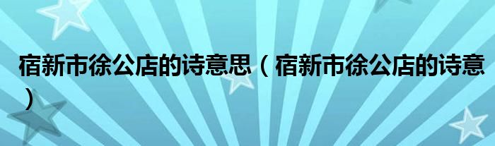 宿新市徐公店的诗意思（宿新市徐公店的诗意）