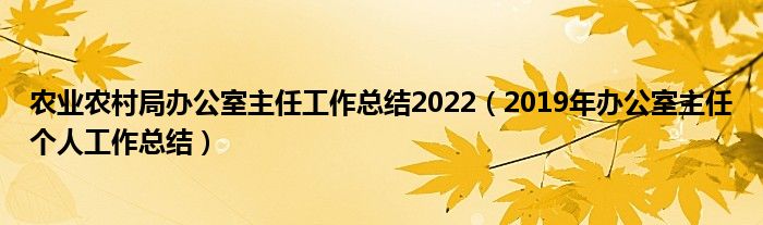 农业农村局办公室主任工作总结2022（2019年办公室主任个人工作总结）
