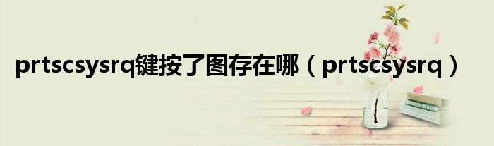 prtscsysrq键按了图存在哪（prtscsysrq）