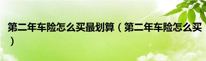 第二年车险怎么买最划算（第二年车险怎么买）