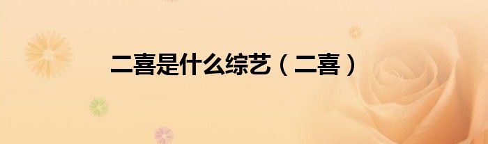 二喜是什么综艺（二喜）