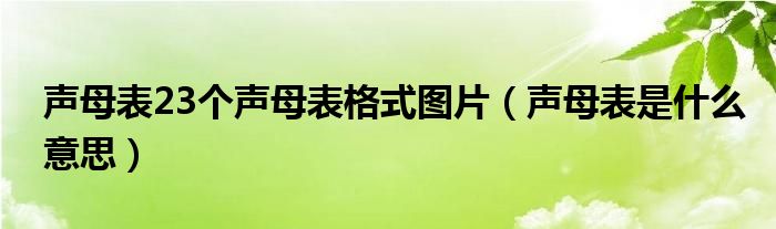 声母表23个声母表格式图片（声母表是什么意思）