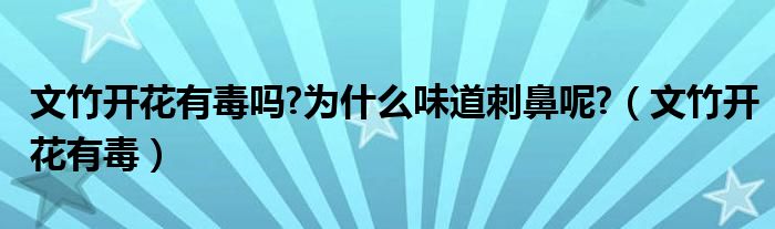 文竹开花有毒吗?为什么味道刺鼻呢?（文竹开花有毒）