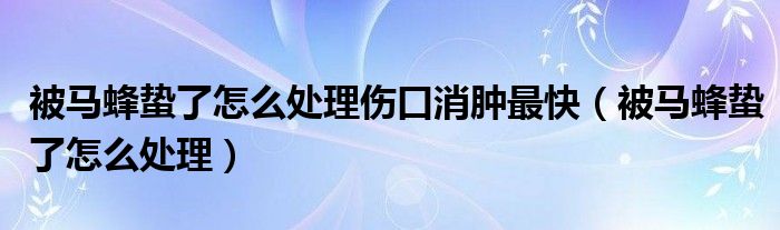 被马蜂蛰了怎么处理伤口消肿最快（被马蜂蛰了怎么处理）