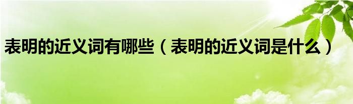 表明的近义词有哪些（表明的近义词是什么）
