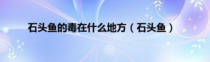 石头鱼的毒在什么地方（石头鱼）