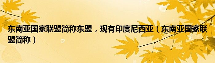 东南亚国家联盟简称东盟，现有印度尼西亚（东南亚国家联盟简称）