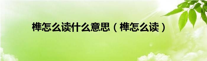 榫怎么读什么意思（榫怎么读）